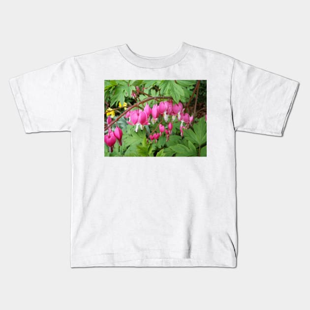 Bleeding Heart Kids T-Shirt by Rob Johnson Photography